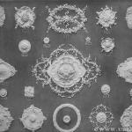 Blatt 12 Stuckrosetten