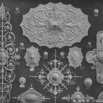 Blatt 10 Stuckrosetten